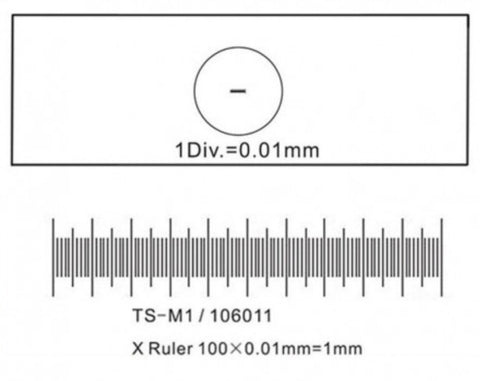 Calibration Standard for Video Microscopes Visual & Optics vendor-unknown   